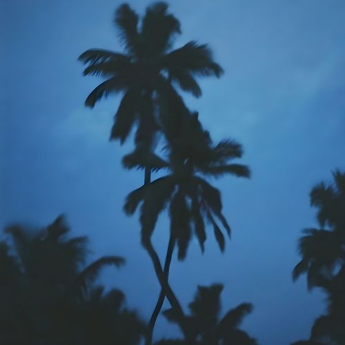 Island