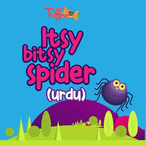 Itsy Bitsy Spider
