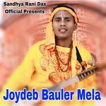 Joydeb Bauler Mela