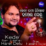 Kede Dami Jinishate Harei Delu