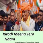 Kirodi Meena Tero Naam