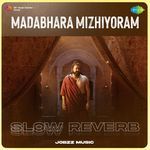 Madabhara Mizhiyoram - Slow Reverb