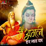 Main Amli Har Naav Ka(Lok Bhajan)