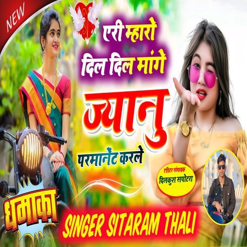 एरी म्हारो दिल दिल मांगे ज्यानु परमानेंट करले