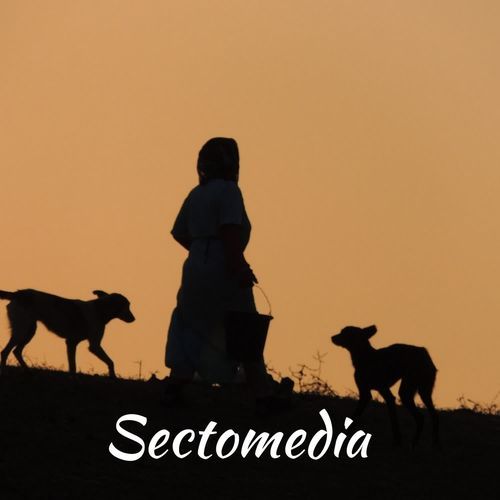 Sectomedia