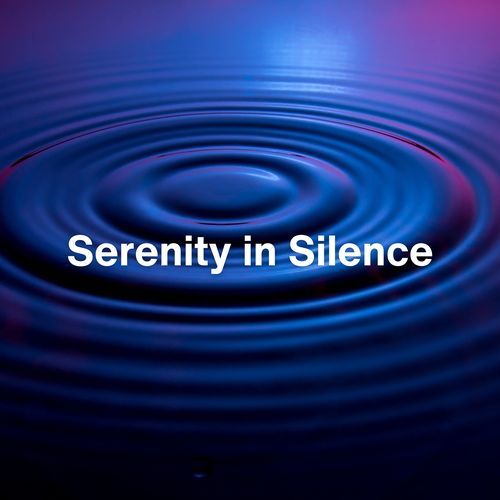 Serenity in Silence_poster_image