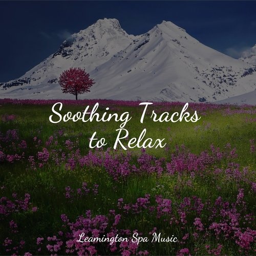Focused, Relaxed cover art