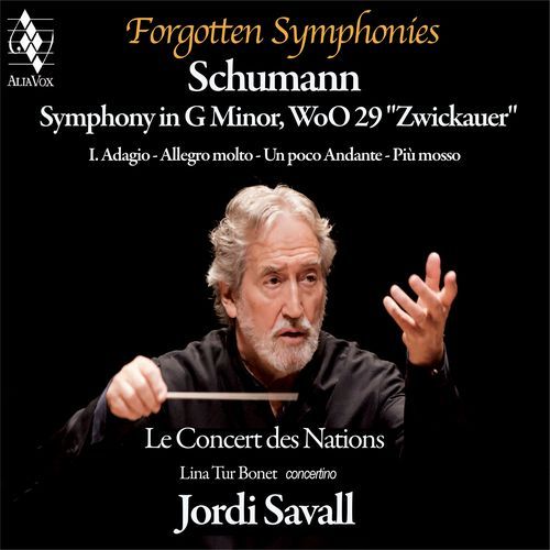 Symphony in G Minor, WoO 29 "Zwickauer": I. Adagio - Allegro molto - Un poco Andante - Più mosso