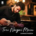 Teri Nazar Mein