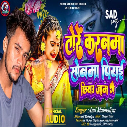 Toren Karnama Sonama  Piyai Chhiyau Jaam Ge