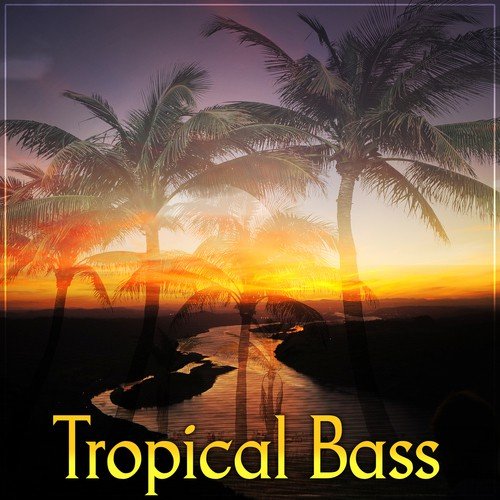Tropical Bass – Latino Bar, Balearic Lounge, Deep Dive
