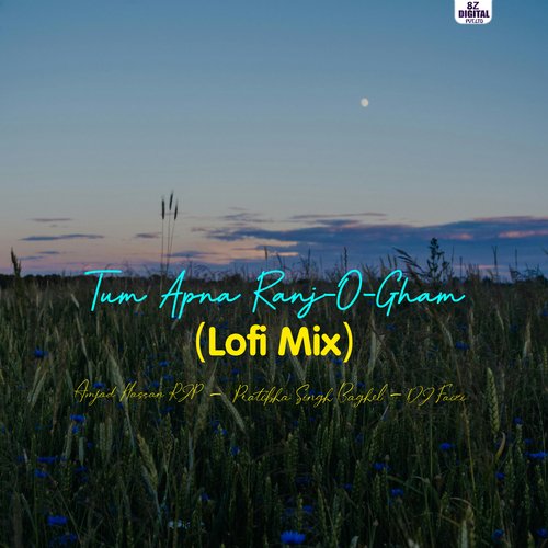 Tum Apna Ranj-O-Gham (Lofi Mix)