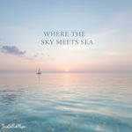 Beneath the Oceans Midnight Glow