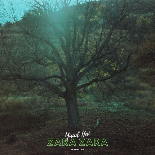 Yaad Hai Zara Zara