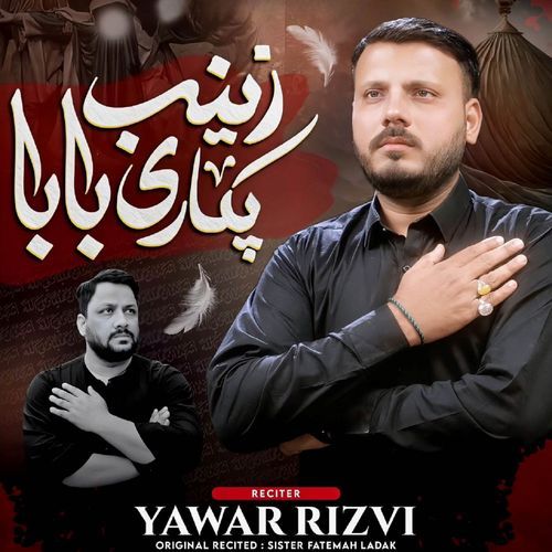 Zainab Pukari Baba Youn Chor Kar Na Jao