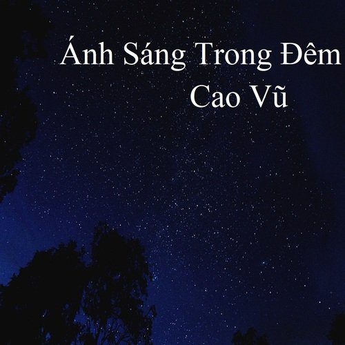 Ánh Sáng Trong Đêm