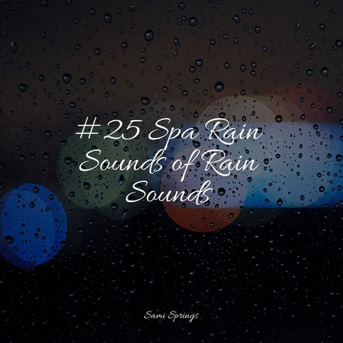 #25 Spa Rain Sounds of Rain Sounds_poster_image