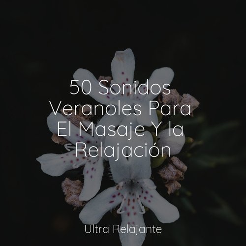 50 Sonidos Veranoles Para El Masaje Y la Relajación_poster_image