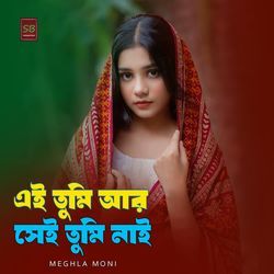 Ai Tumi Ar Shei Tumi Nai