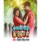 Bangaliya Ke Chakkar me artwork