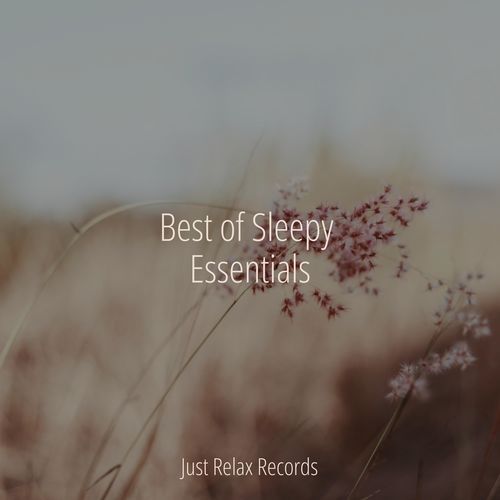 Best of Sleepy Essentials_poster_image