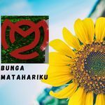 Bunga Matahariku