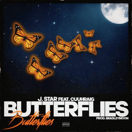 Butterflies_poster_image