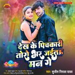 Dekh Ke Pichkari Toro Bhar Jaitau Man Ge