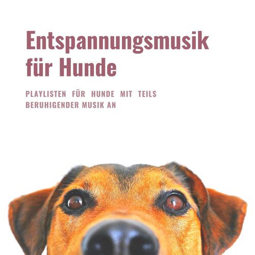 Heiser cover art