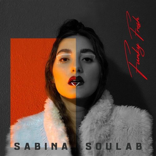 Funky Fresh cover art