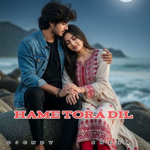 HAME TORA DIL