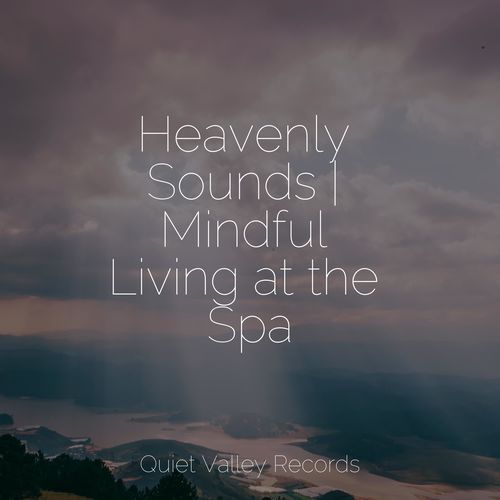 Wellbeing cover art