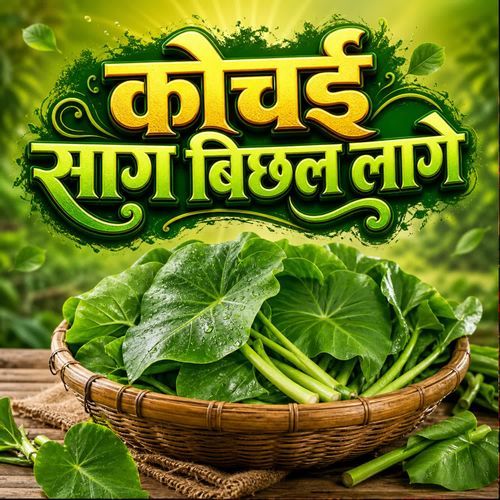 Kochai Sag Bichhal Lage
