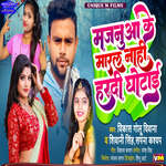 Majanua Ke Maral Nahi Hardi Ghotai artwork