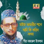 Mije Vandarir Sane Ami Ki Koribo Bornona