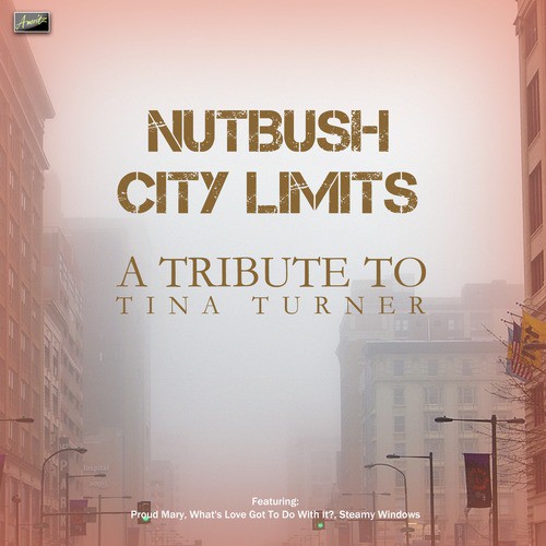 Nutbush City Limits - A Tribute to Tina Turner