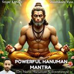 Powerful Hanuman Mantra (Om Namo Hanumate Rudravataraya)