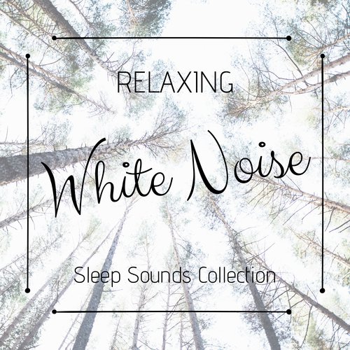 Sleep Sounds