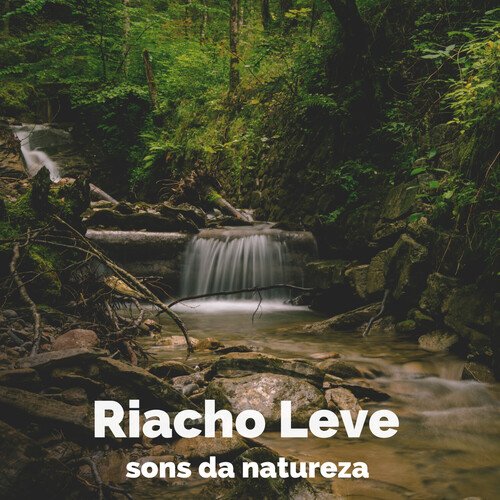 Riacho Leve_poster_image