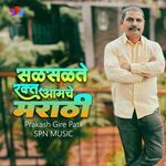 Salsalte Rakt Amche Marathi (Electro Rap)