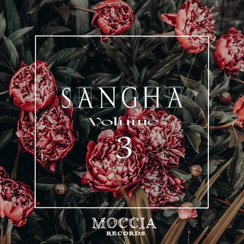 Montis Sancti Joannis cover art
