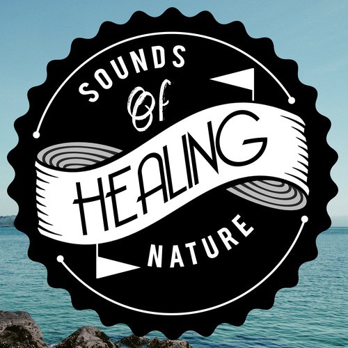 Sounds of Healing Nature_poster_image