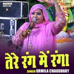 Tere rang mein ranga (Hindi)