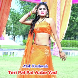 Teri Pal Pal Aabe Yad-CC8pWB9EX38