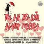 Tu Hi To Dil Hain Mera