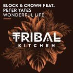 Wonderful Life (Radio Edit)