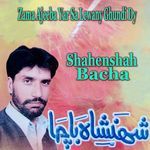 Zama Ajeeba Yar Sa Lewany Ghundi Dy