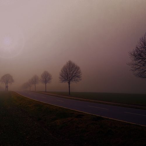 Silent Echoes