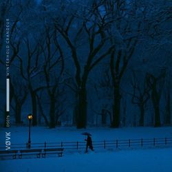 winterhold grandeur (slowed + reverb)