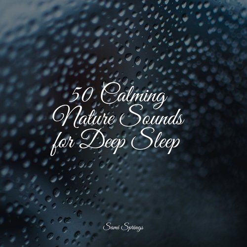 50 Calming Nature Sounds for Deep Sleep